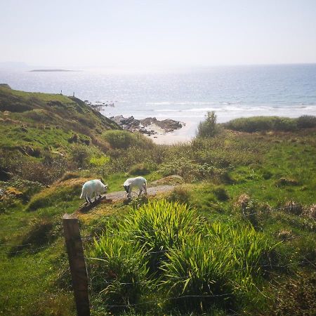 Anne'S Thatched Cottage Kilcar Ngoại thất bức ảnh