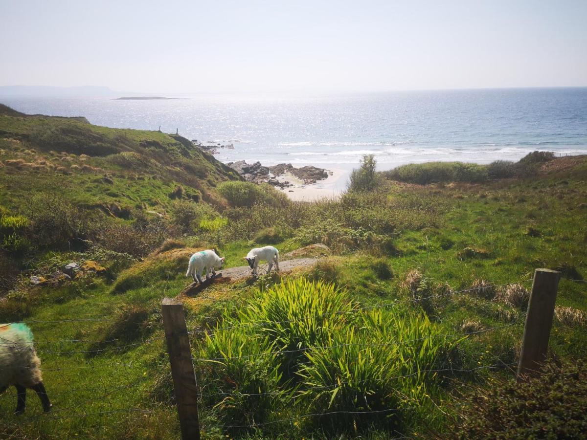 Anne'S Thatched Cottage Kilcar Ngoại thất bức ảnh